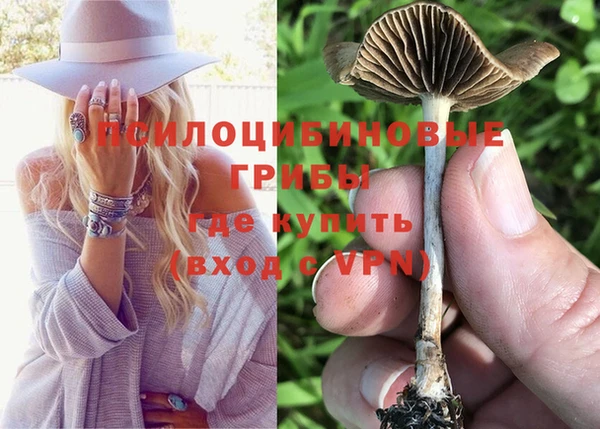 не бодяженный Зерноград